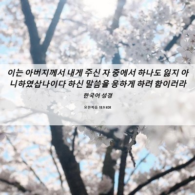 Picture 06 - 요한복음 18:9 KOR - 이는 아버지께서 내게 주신 자 - Bible Verse Picture
