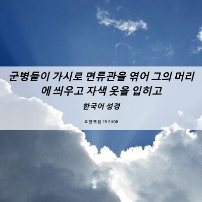 Picture 06 - 요한복음 19:2 KOR - 군병들이 가시로 면류관을 엮어 그의 - Bible Verse Picture