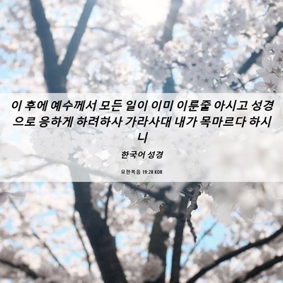 Picture 06 - 요한복음 19:28 KOR - 이 후에 예수께서 모든 일이 이미 - Bible Verse Picture