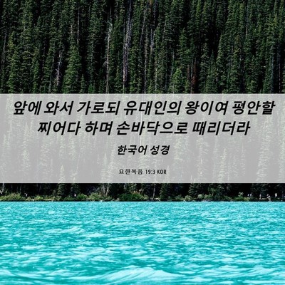 Picture 06 - 요한복음 19:3 KOR - 앞에 와서 가로되 유대인의 왕이여 - Bible Verse Picture