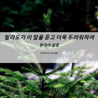 Picture 06 - 요한복음 19:8 KOR - 빌라도가 이 말을 듣고 더욱 - Bible Verse Picture