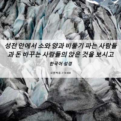 Picture 06 - 요한복음 2:14 KOR - 성전 안에서 소와 양과 비둘기 파는 - Bible Verse Picture