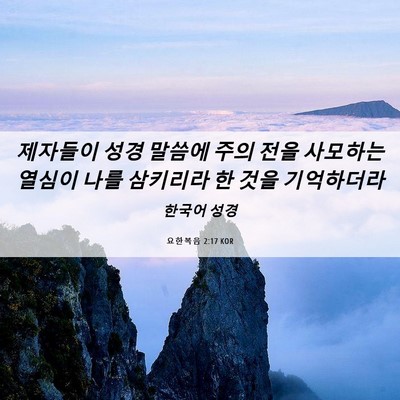 Picture 06 - 요한복음 2:17 KOR - 제자들이 성경 말씀에 주의 전을 - Bible Verse Picture