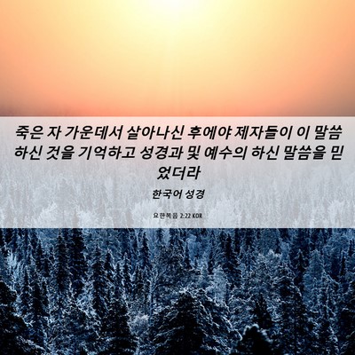 Picture 06 - 요한복음 2:22 KOR - 죽은 자 가운데서 살아나신 후에야 - Bible Verse Picture