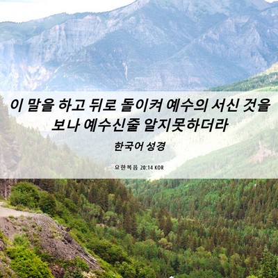 Picture 06 - 요한복음 20:14 KOR - 이 말을 하고 뒤로 돌이켜 예수의 - Bible Verse Picture