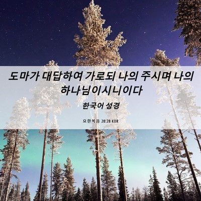 Picture 06 - 요한복음 20:28 KOR - 도마가 대답하여 가로되 나의 주시며 - Bible Verse Picture