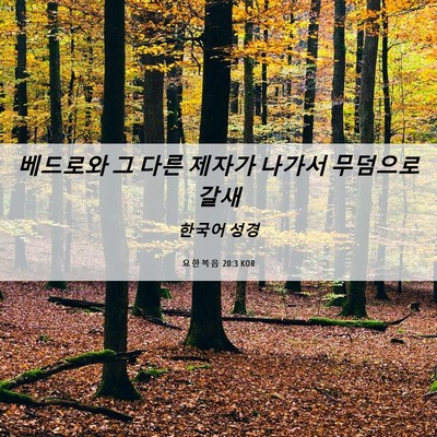 Picture 06 - 요한복음 20:3 KOR - 베드로와 그 다른 제자가 나가서 - Bible Verse Picture