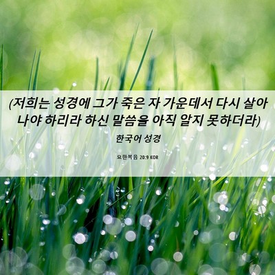 Picture 06 - 요한복음 20:9 KOR - (저희는 성경에 그가 죽은 자 - Bible Verse Picture