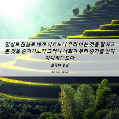 Picture 06 - 요한복음 3:11 KOR - 진실로 진실로 네게 이르노니 우리 - Bible Verse Picture