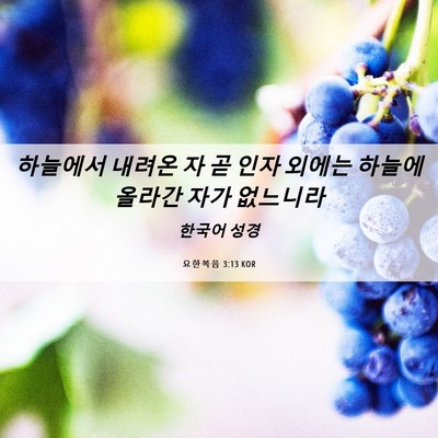 Picture 06 - 요한복음 3:13 KOR - 하늘에서 내려온 자 곧 인자 외에는 - Bible Verse Picture