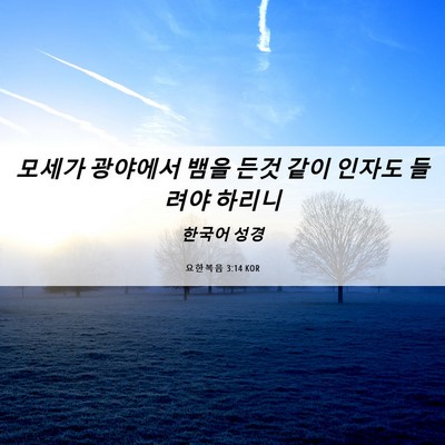 Picture 06 - 요한복음 3:14 KOR - 모세가 광야에서 뱀을 든것 같이 - Bible Verse Picture