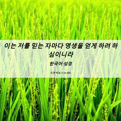 Picture 06 - 요한복음 3:15 KOR - 이는 저를 믿는 자마다 영생을 얻게 - Bible Verse Picture