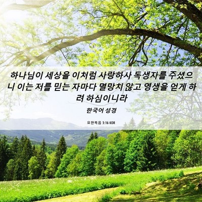 Picture 06 - 요한복음 3:16 KOR - 하나님이 세상을 이처럼 사랑하사 - Bible Verse Picture