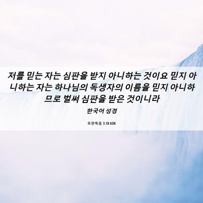 Picture 06 - 요한복음 3:18 KOR - 저를 믿는 자는 심판을 받지 - Bible Verse Picture