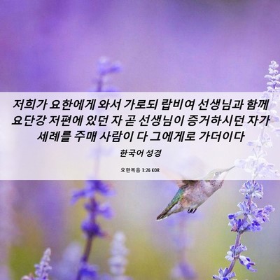Picture 06 - 요한복음 3:26 KOR - 저희가 요한에게 와서 가로되 랍비여 - Bible Verse Picture