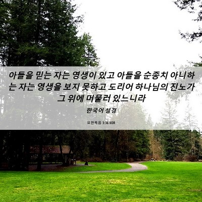 Picture 06 - 요한복음 3:36 KOR - 아들을 믿는 자는 영생이 있고 - Bible Verse Picture