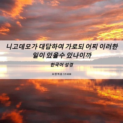 Picture 06 - 요한복음 3:9 KOR - 니고데모가 대답하여 가로되 어찌 - Bible Verse Picture