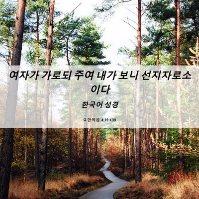 Picture 06 - 요한복음 4:19 KOR - 여자가 가로되 주여 내가 보니 - Bible Verse Picture