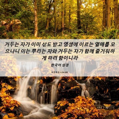 Picture 06 - 요한복음 4:36 KOR - 거두는 자가 이미 삯도 받고 영생에 - Bible Verse Picture