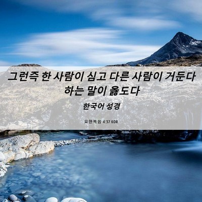 Picture 06 - 요한복음 4:37 KOR - 그런즉 한 사람이 심고 다른 사람이 - Bible Verse Picture