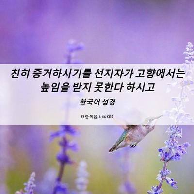 Picture 06 - 요한복음 4:44 KOR - 친히 증거하시기를 선지자가 - Bible Verse Picture
