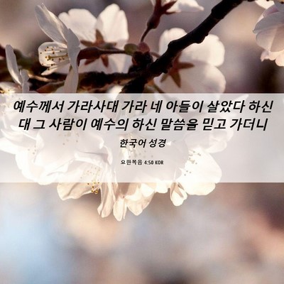 Picture 06 - 요한복음 4:50 KOR - 예수께서 가라사대 가라 네 아들이 - Bible Verse Picture