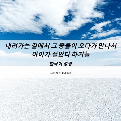 Picture 06 - 요한복음 4:51 KOR - 내려가는 길에서 그 종들이 오다가 - Bible Verse Picture