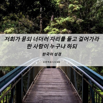 Picture 06 - 요한복음 5:12 KOR - 저희가 묻되 너더러 자리를 들고 - Bible Verse Picture