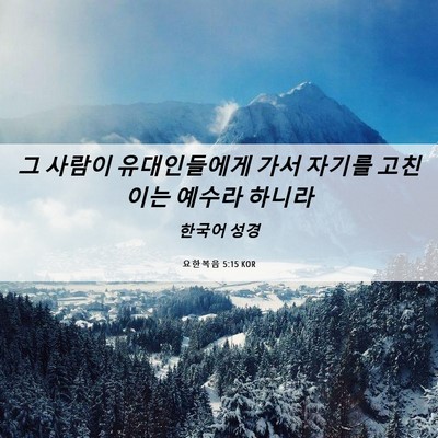 Picture 06 - 요한복음 5:15 KOR - 그 사람이 유대인들에게 가서 자기를 - Bible Verse Picture