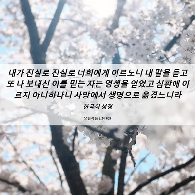 Picture 06 - 요한복음 5:24 KOR - 내가 진실로 진실로 너희에게 - Bible Verse Picture