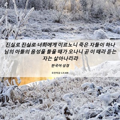 Picture 06 - 요한복음 5:25 KOR - 진실로 진실로 너희에게 이르노니 - Bible Verse Picture