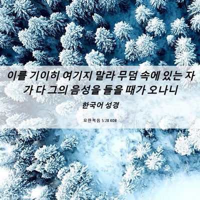 Picture 06 - 요한복음 5:28 KOR - 이를 기이히 여기지 말라 무덤 속에 - Bible Verse Picture