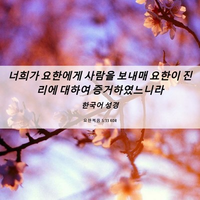 Picture 06 - 요한복음 5:33 KOR - 너희가 요한에게 사람을 보내매 - Bible Verse Picture