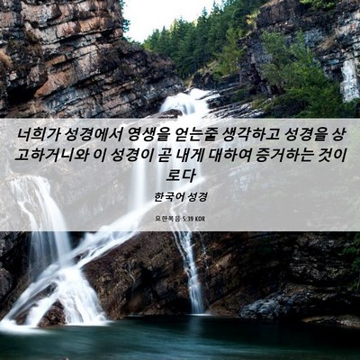 Picture 06 - 요한복음 5:39 KOR - 너희가 성경에서 영생을 얻는줄 - Bible Verse Picture