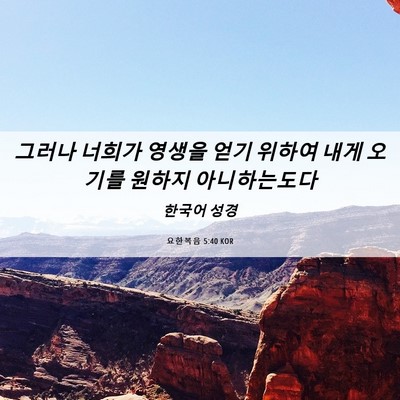 Picture 06 - 요한복음 5:40 KOR - 그러나 너희가 영생을 얻기 위하여 - Bible Verse Picture