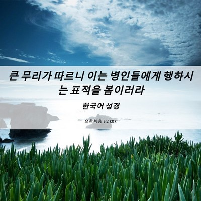 Picture 06 - 요한복음 6:2 KOR - 큰 무리가 따르니 이는 병인들에게 - Bible Verse Picture