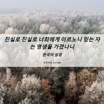 Picture 06 - 요한복음 6:47 KOR - 진실로 진실로 너희에게 이르노니 - Bible Verse Picture