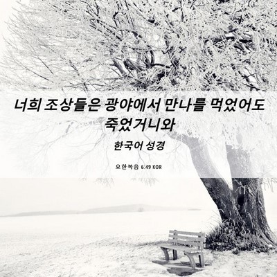 Picture 06 - 요한복음 6:49 KOR - 너희 조상들은 광야에서 만나를 - Bible Verse Picture