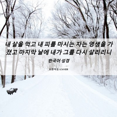 Picture 06 - 요한복음 6:54 KOR - 내 살을 먹고 내 피를 마시는 자는 - Bible Verse Picture
