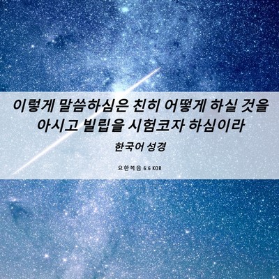 Picture 06 - 요한복음 6:6 KOR - 이렇게 말씀하심은 친히 어떻게 하실 - Bible Verse Picture