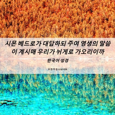 Picture 06 - 요한복음 6:68 KOR - 시몬 베드로가 대답하되 주여 영생의 - Bible Verse Picture