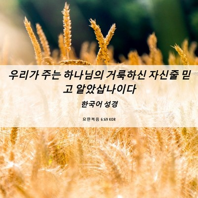 Picture 06 - 요한복음 6:69 KOR - 우리가 주는 하나님의 거룩하신 - Bible Verse Picture