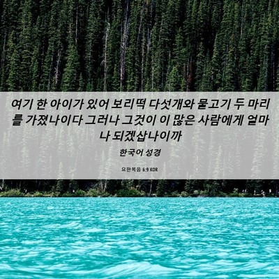 Picture 06 - 요한복음 6:9 KOR - 여기 한 아이가 있어 보리떡 - Bible Verse Picture