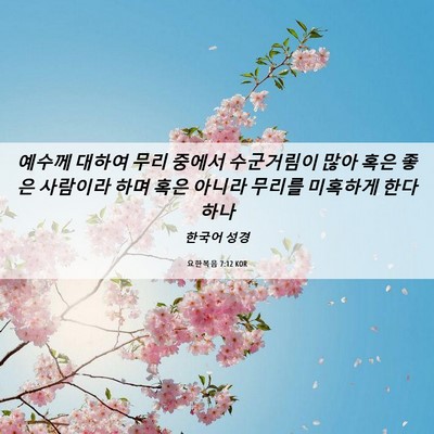 Picture 06 - 요한복음 7:12 KOR - 예수께 대하여 무리 중에서 - Bible Verse Picture