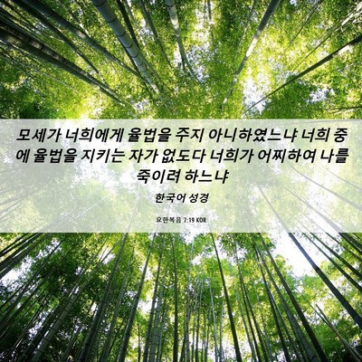 Picture 06 - 요한복음 7:19 KOR - 모세가 너희에게 율법을 주지 - Bible Verse Picture