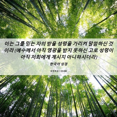 Picture 06 - 요한복음 7:39 KOR - 이는 그를 믿는 자의 받을 성령을 - Bible Verse Picture