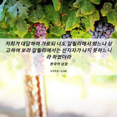 Picture 06 - 요한복음 7:52 KOR - 저희가 대답하여 가로되 너도 - Bible Verse Picture