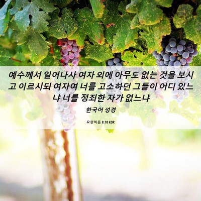 Picture 06 - 요한복음 8:10 KOR - 예수께서 일어나사 여자 외에 아무도 - Bible Verse Picture