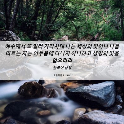 Picture 06 - 요한복음 8:12 KOR - 예수께서 또 일러 가라사대 나는 - Bible Verse Picture