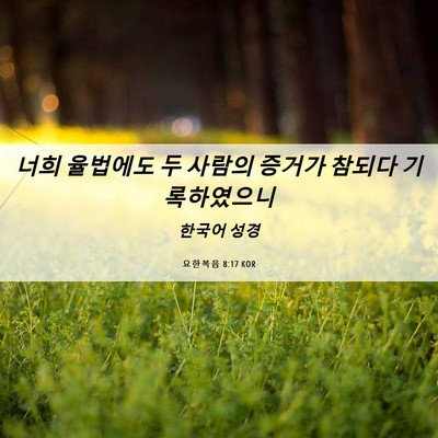 Picture 06 - 요한복음 8:17 KOR - 너희 율법에도 두 사람의 증거가 - Bible Verse Picture